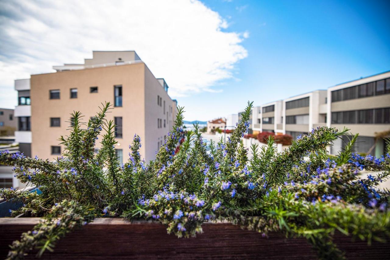 Ika Boutique Luxury Apartments Zadar Exterior foto